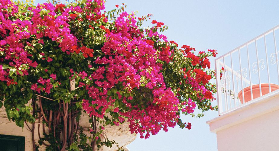 Antalya Turkije 11 Antalya Turkije 11